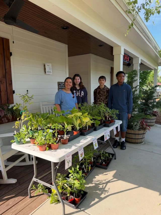 🌱 Moore Montessori 7 & 8th graders are set up on the porch - they grew these hydroponics class and some of them were grown in their green house! They are trying to raise money for their DC trip! Come out and support them 9-2 today!
