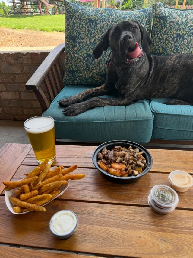 🐾 Pawsitive choices: Hibachi and pickle fries are licking oh so good this Sunday! 

@tombachirestaurants