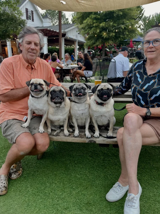 🐾 No mean mugs, or pugs here! Saturday smiles: We love to see all the pawsitivity, especially when it comes in fours!