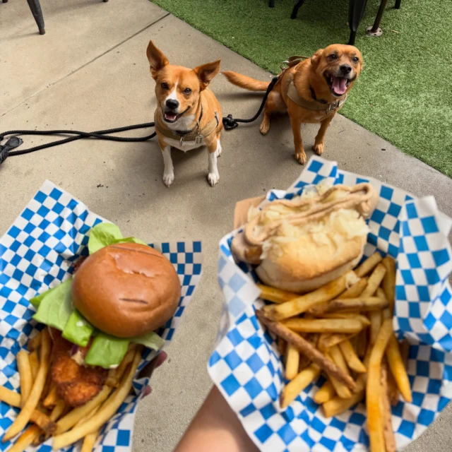 Dog-one it! We just keep pawtobwtfesting away here! Food trucks are OPEN till 8!